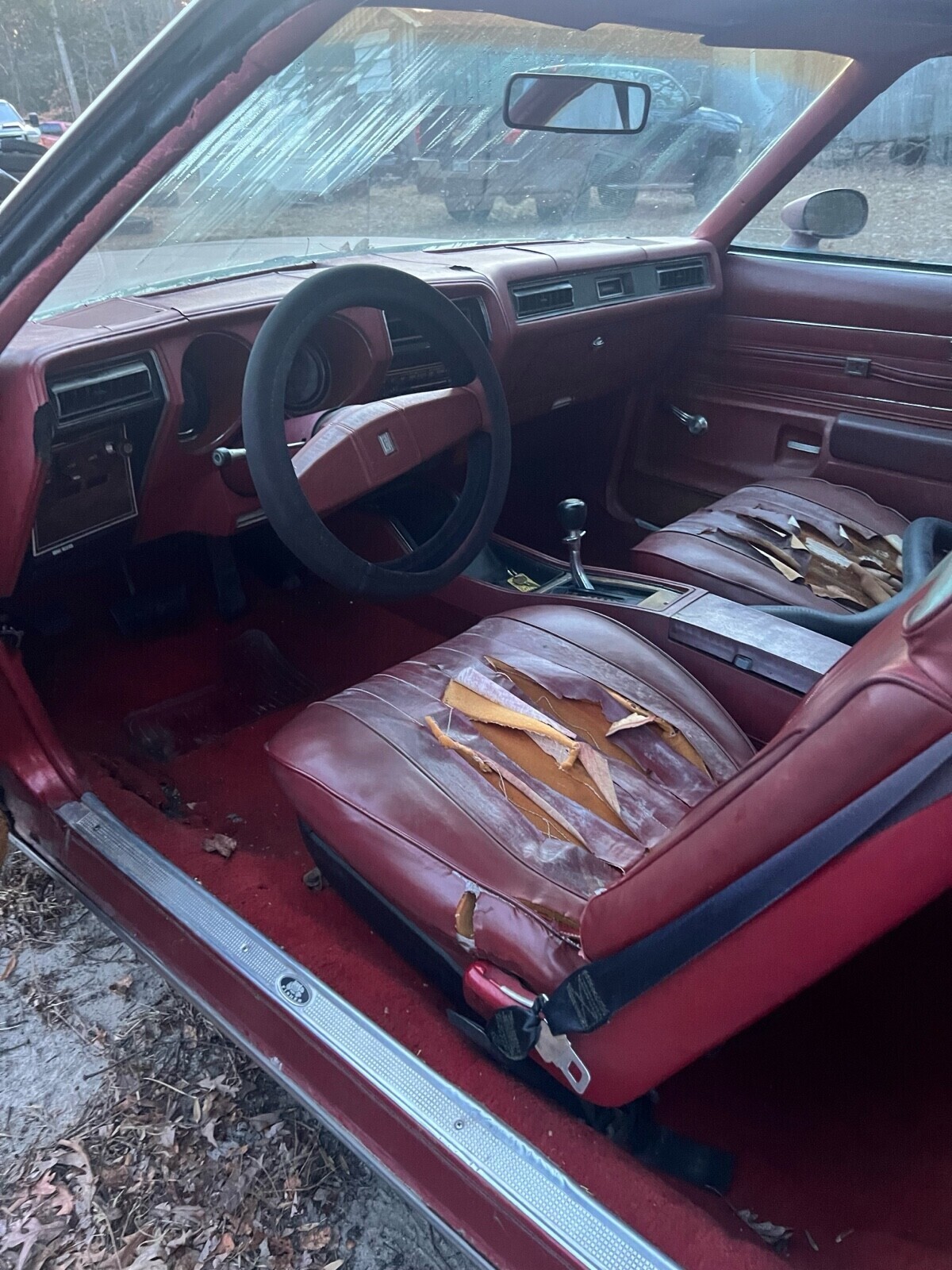 Oldsmobile-442-1977-Coupe-10