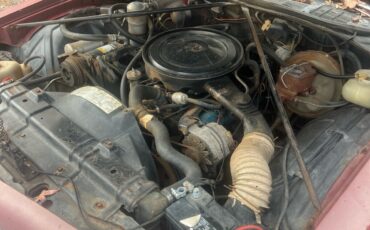 Oldsmobile-442-1977-Coupe-14