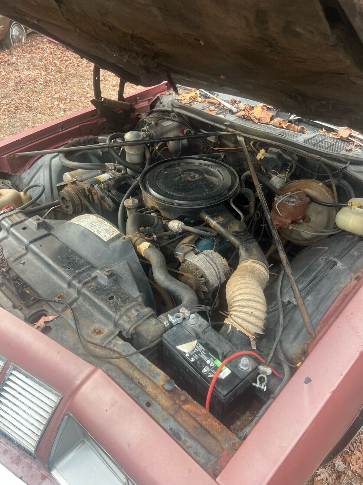 Oldsmobile-442-1977-Coupe-14