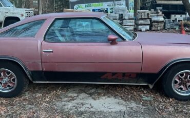 Oldsmobile-442-1977-Coupe-3