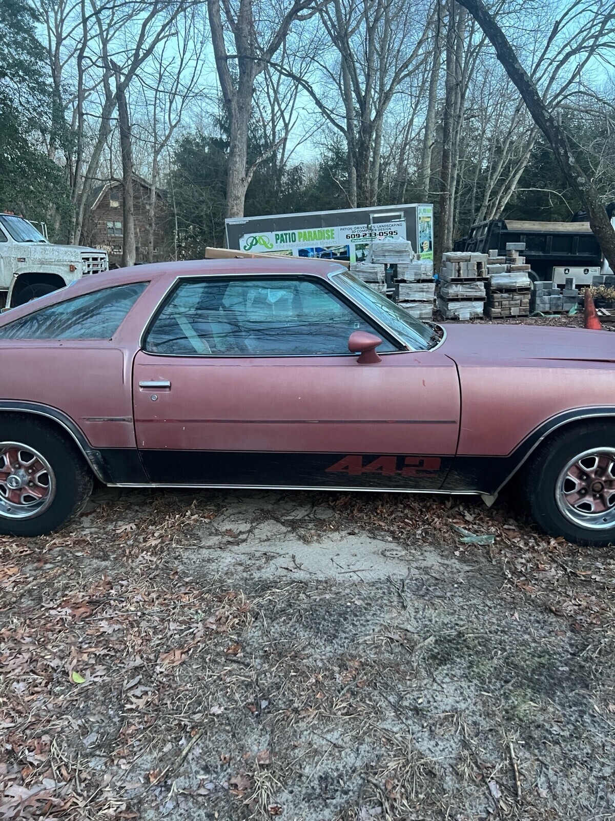 Oldsmobile-442-1977-Coupe-3