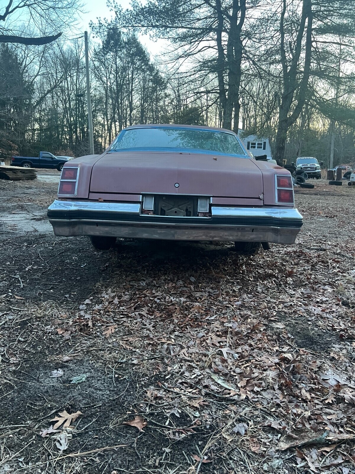 Oldsmobile-442-1977-Coupe-6