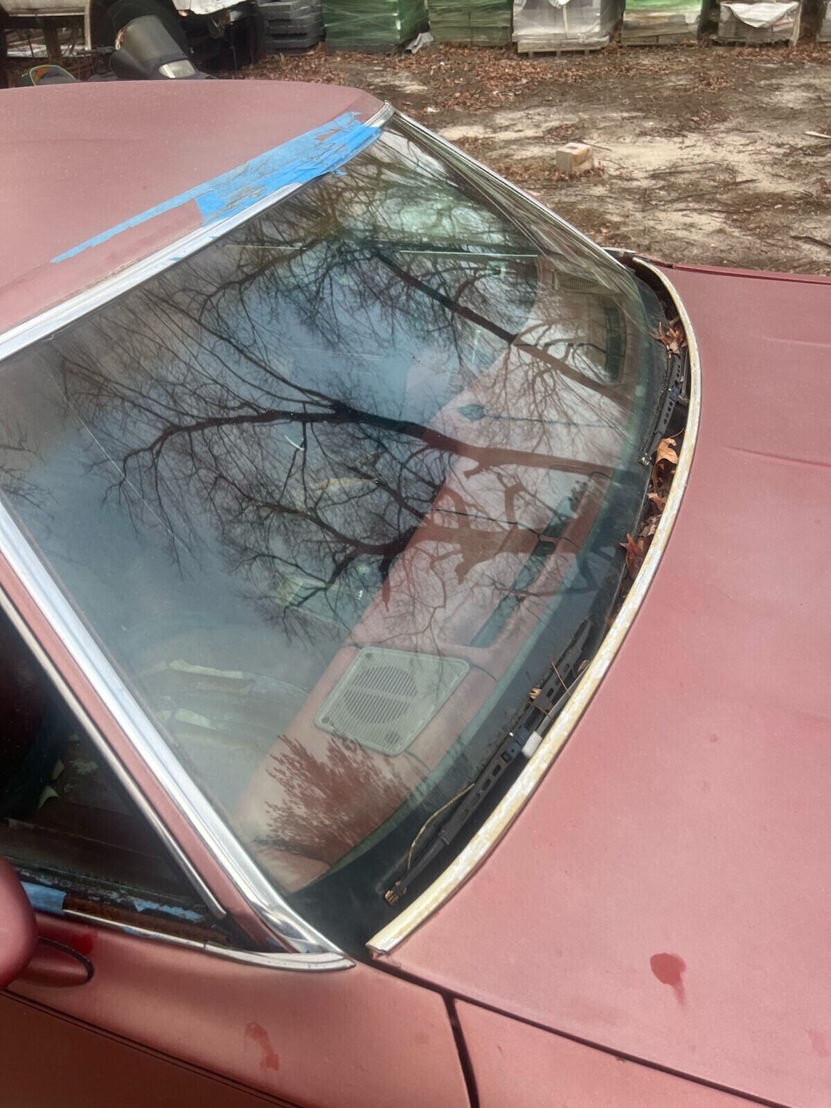 Oldsmobile-442-1977-Coupe-8