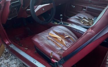 Oldsmobile-442-1977-Coupe-9