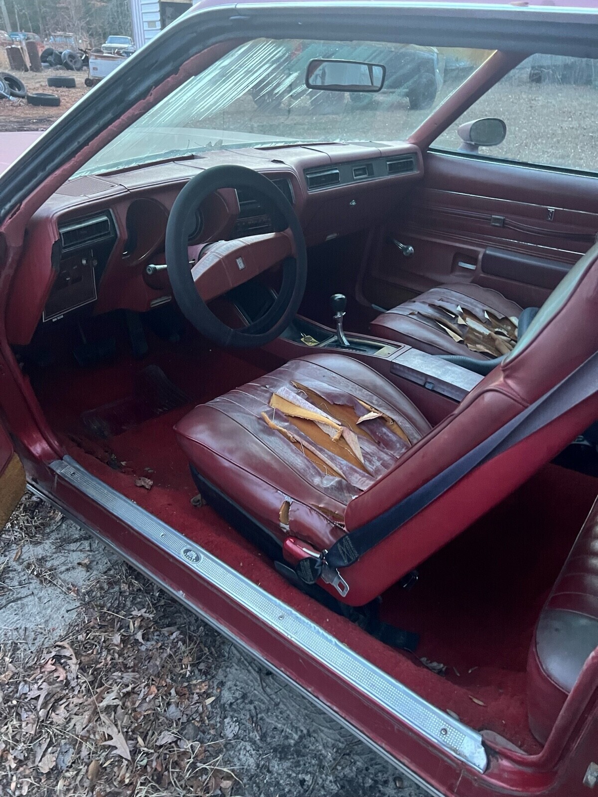 Oldsmobile-442-1977-Coupe-9