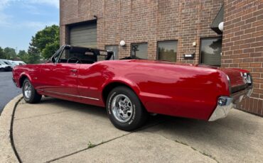 Oldsmobile-Cutlass-1967-Convertible-4