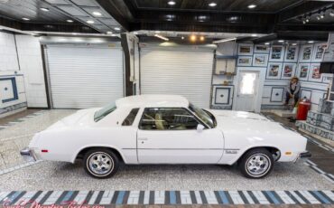 Oldsmobile-Cutlass-1977-18