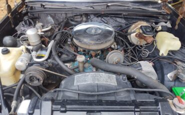 Oldsmobile-Cutlass-1978-Coupe-10