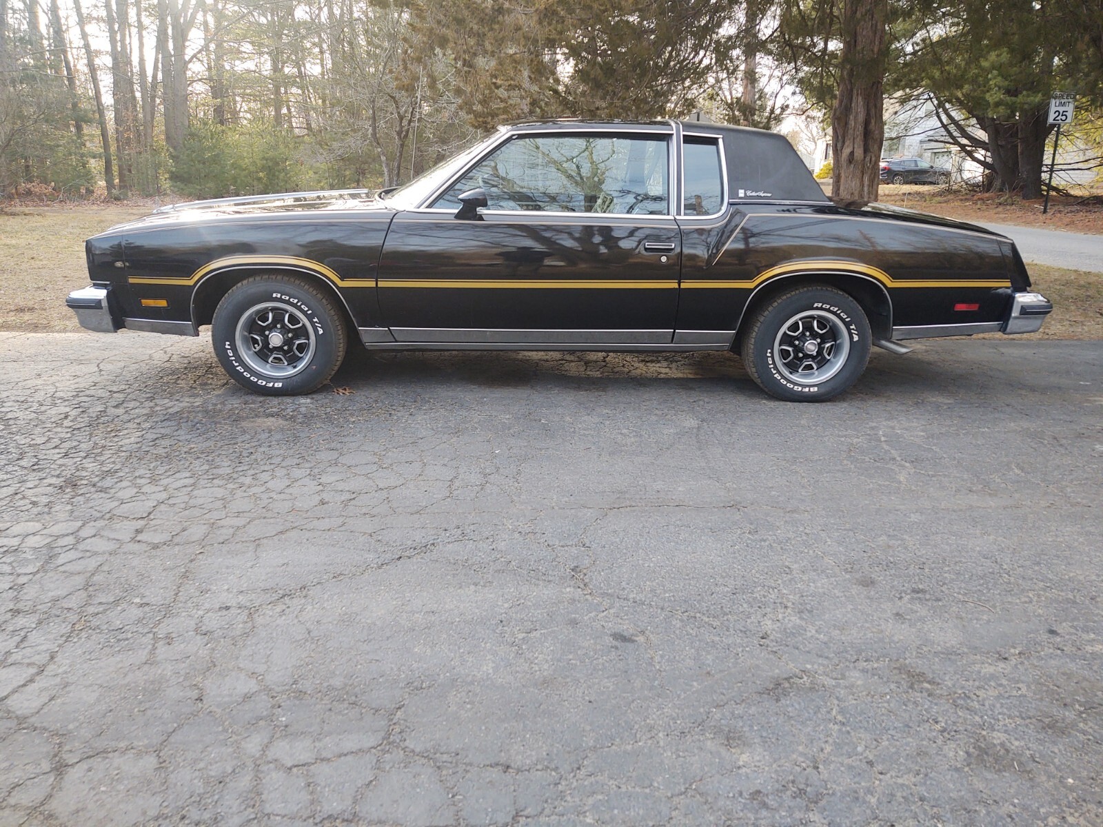 Oldsmobile-Cutlass-1978-Coupe-14