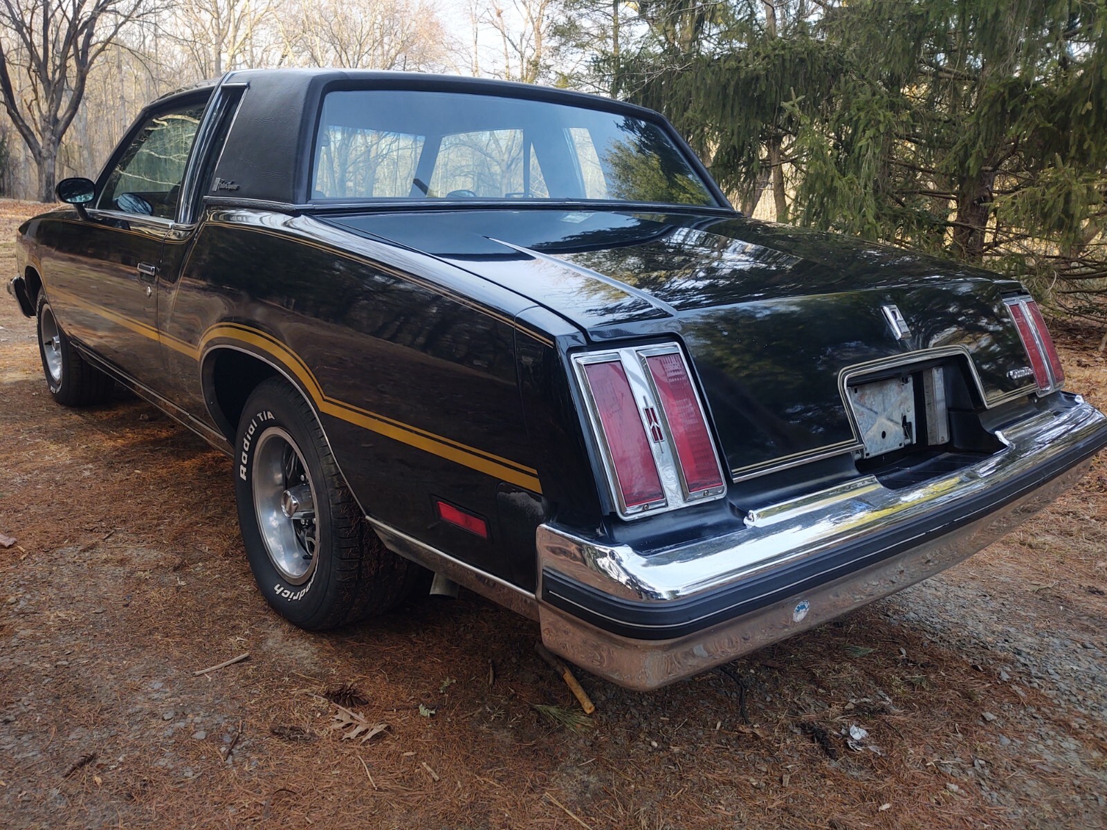 Oldsmobile-Cutlass-1978-Coupe-2