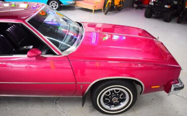 Oldsmobile-Cutlass-1980-Coupe-4