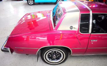 Oldsmobile-Cutlass-1980-Coupe-6