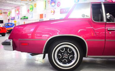 Oldsmobile-Cutlass-1980-Coupe-7