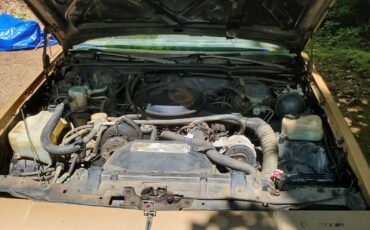 Oldsmobile-Cutlass-1987-Coupe-16