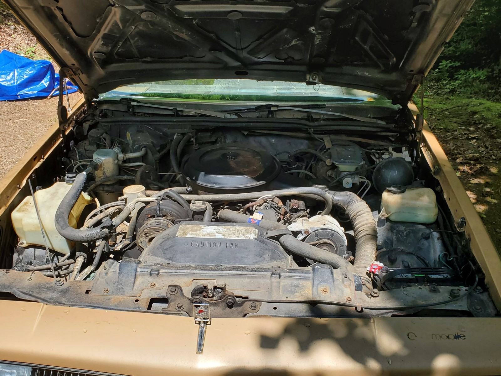 Oldsmobile-Cutlass-1987-Coupe-16