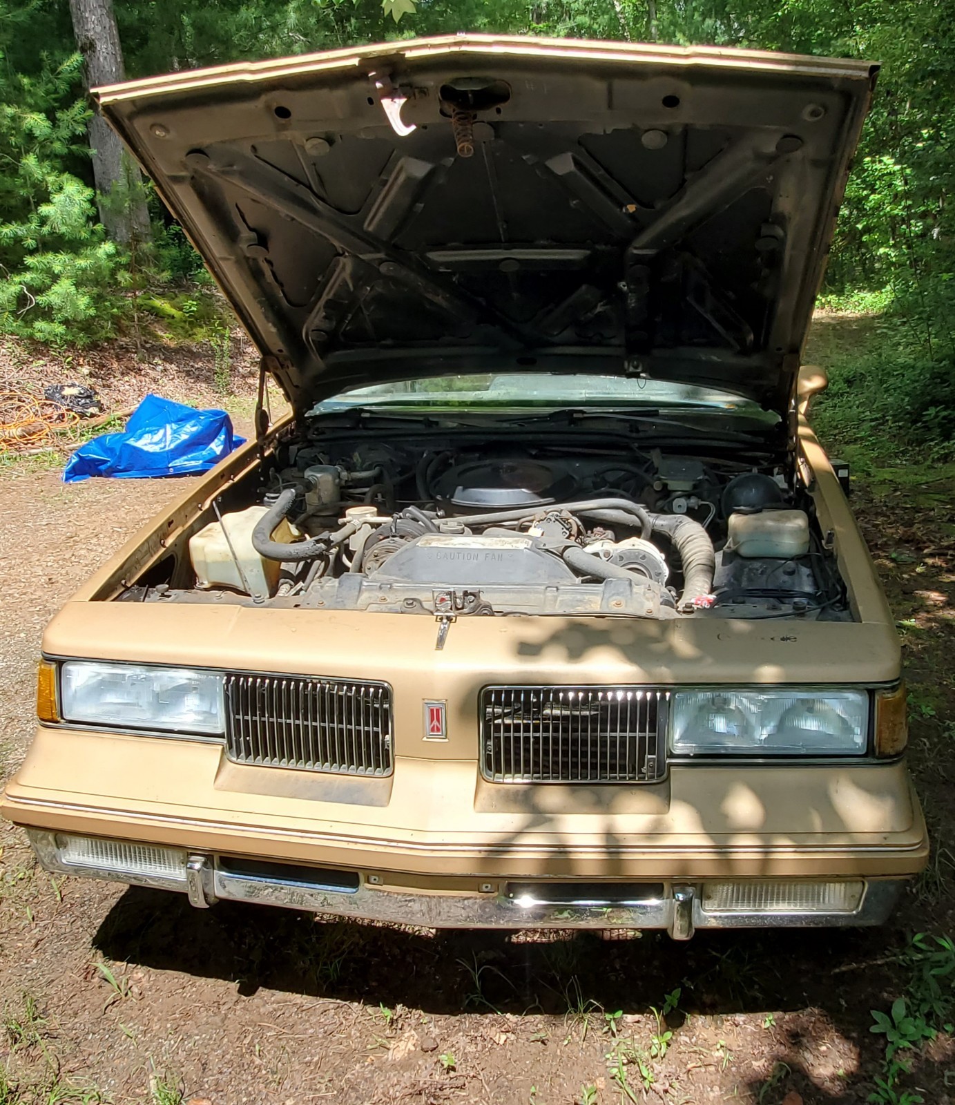 Oldsmobile-Cutlass-1987-Coupe-5