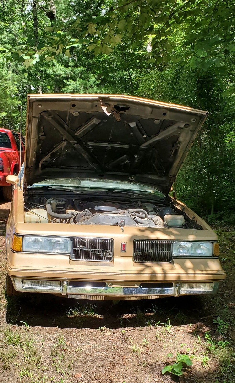 Oldsmobile-Cutlass-1987-Coupe-6
