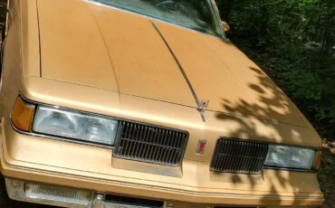 Oldsmobile-Cutlass-1987-Coupe-8
