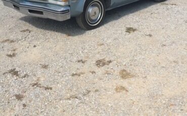 Oldsmobile-Ninety-Eight-1976-Sedan