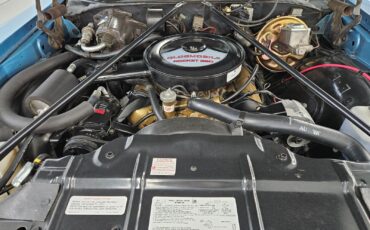 Oldsmobile-Vista-Cruiser-1972-Wagon-20