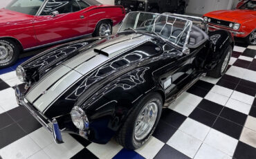 Other-Makes-Cobra-1965-10