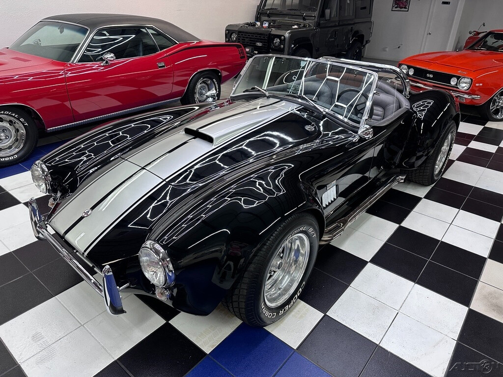 Other-Makes-Cobra-1965-10