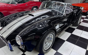 Other-Makes-Cobra-1965-11