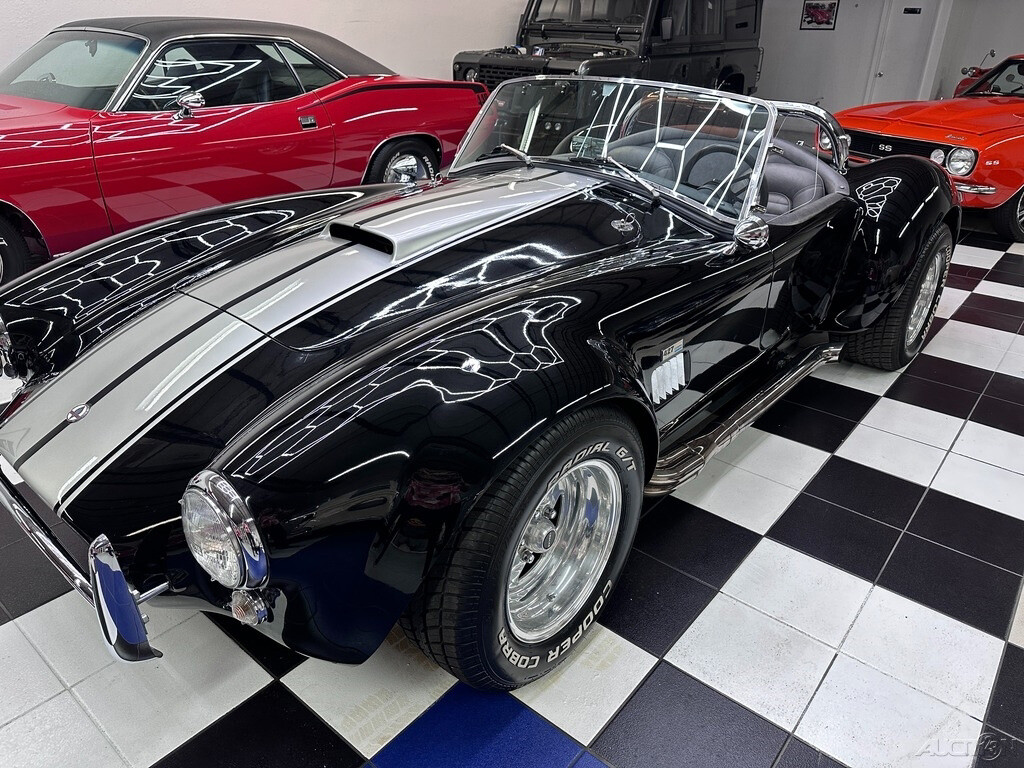 Other-Makes-Cobra-1965-11