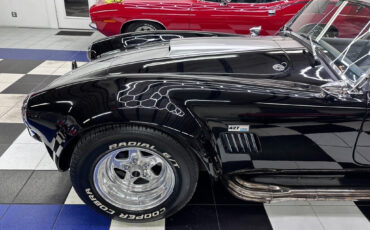 Other-Makes-Cobra-1965-12