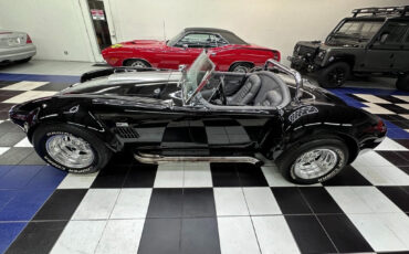 Other-Makes-Cobra-1965-16