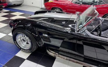Other-Makes-Cobra-1965-17