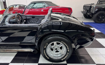Other-Makes-Cobra-1965-19