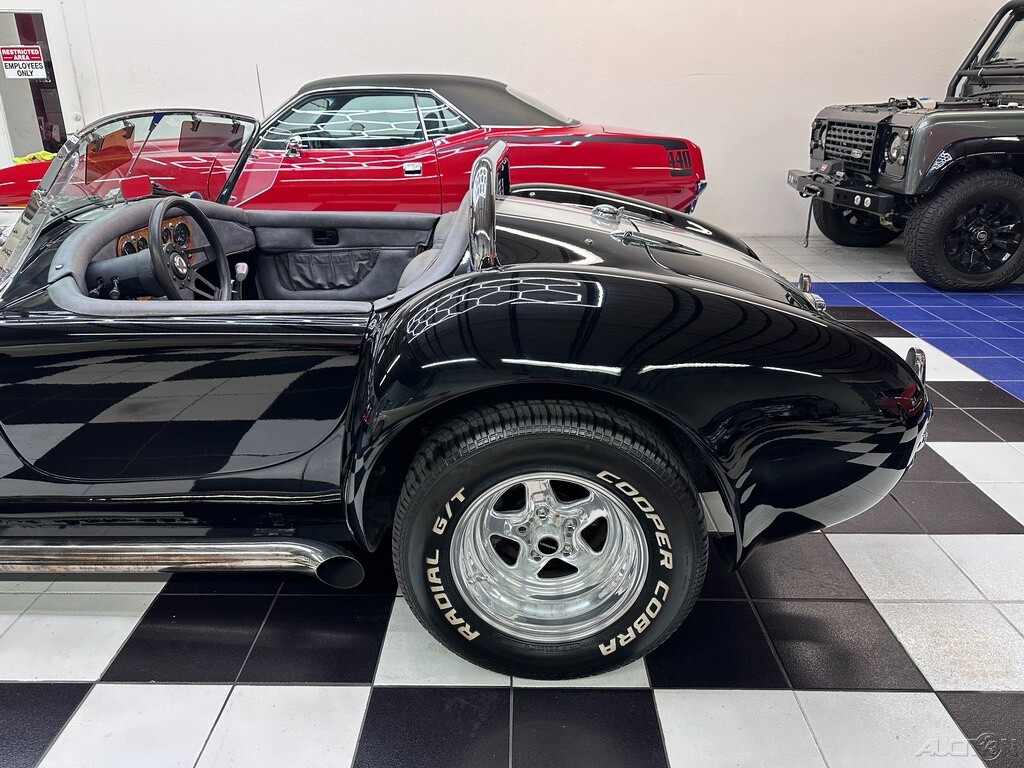 Other-Makes-Cobra-1965-19