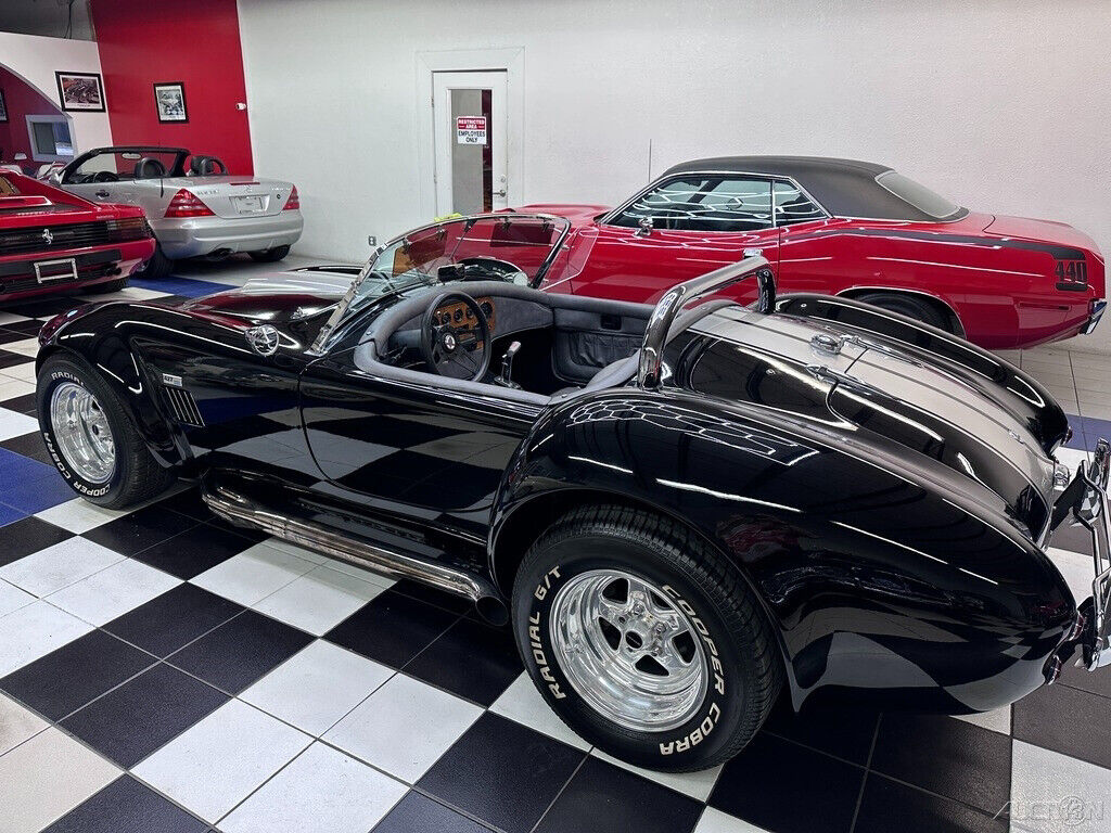 Other-Makes-Cobra-1965-21