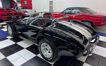 Other-Makes-Cobra-1965-22