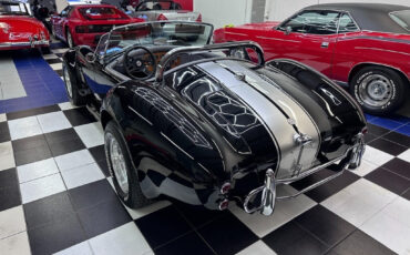 Other-Makes-Cobra-1965-23