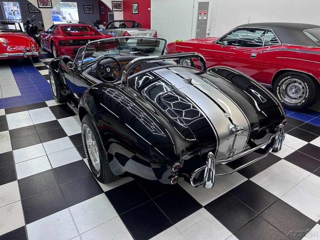 Other-Makes-Cobra-1965-23