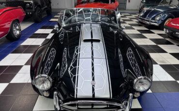 Other-Makes-Cobra-1965-3