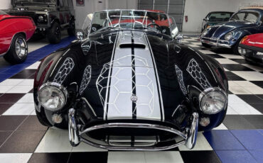 Other-Makes-Cobra-1965-4