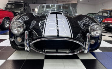 Other-Makes-Cobra-1965-5