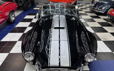 Other-Makes-Cobra-1965-7