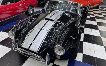 Other-Makes-Cobra-1965-8