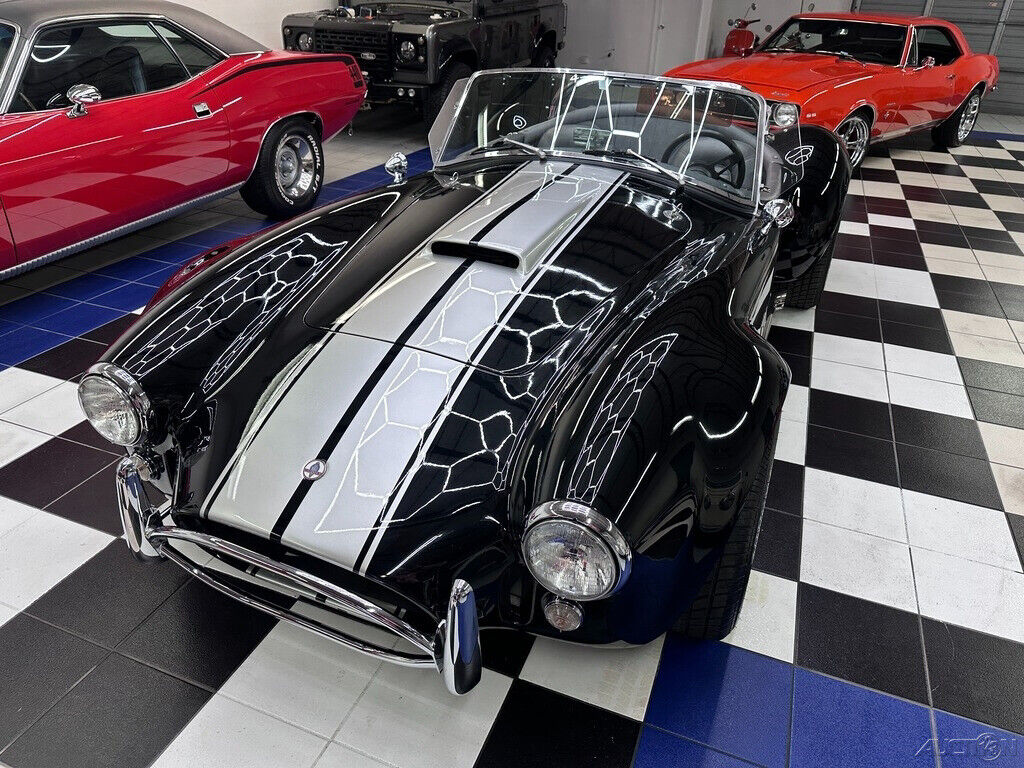 Other-Makes-Cobra-1965-8