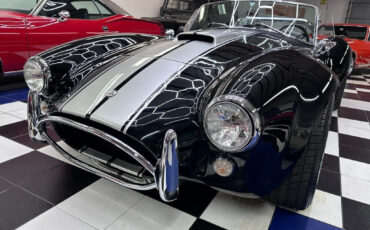 Other-Makes-Cobra-1965-9