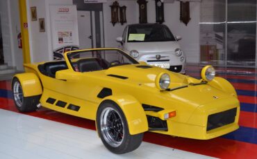 Other-Makes-MICHACH-V8-1990-Convertible-10