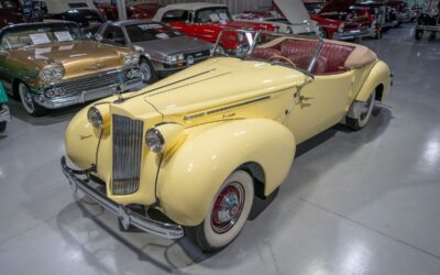 Packard  1939 Convertible