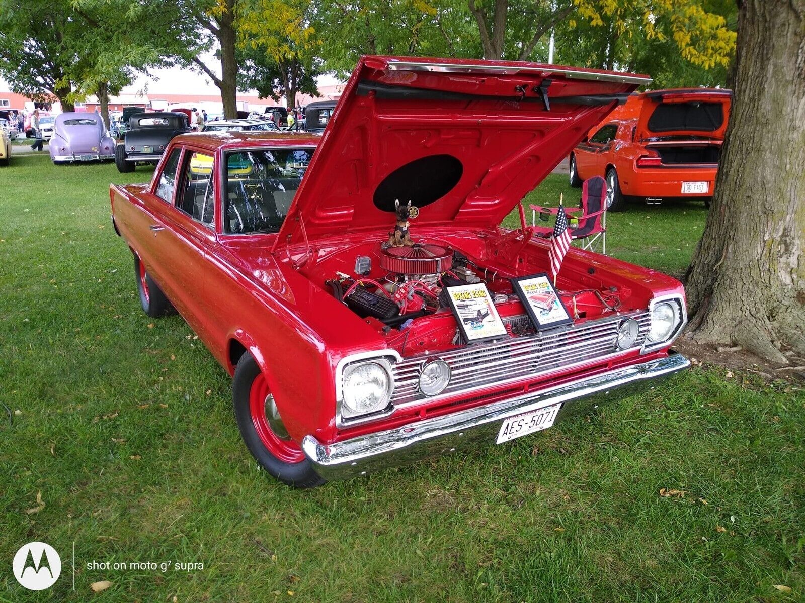 Plymouth-Belvedere-1966-Coupe-9