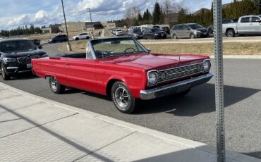 Plymouth-Belvedere-II-1966-Convertible