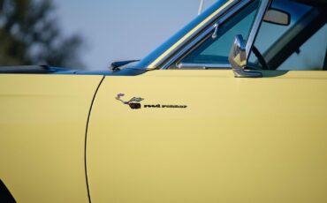 Plymouth-Road-Runner-1969-2-Door-35