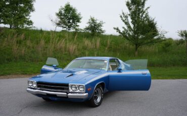 Plymouth-Road-Runner-1973-Fastback-33